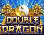 Double Dragon Slot Yggdrasil