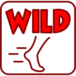 shifting wilds icon