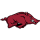 Arkansas Razorbacks